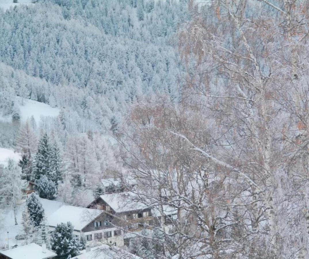Hotel Restaurant Buerchnerhof Bürchen Eksteriør bilde