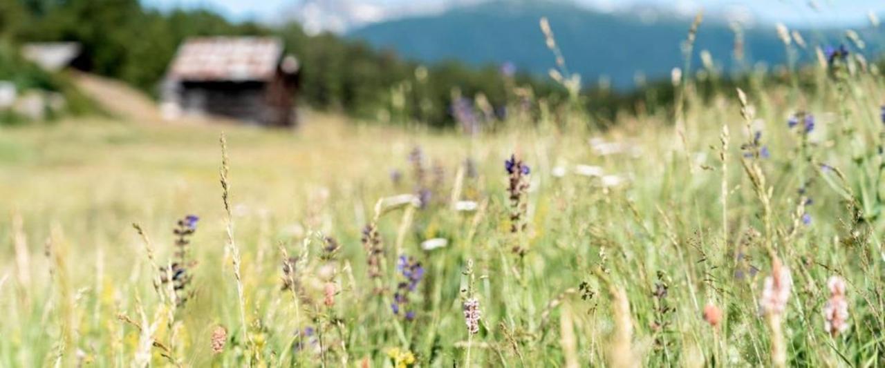 Hotel Restaurant Buerchnerhof Bürchen Eksteriør bilde