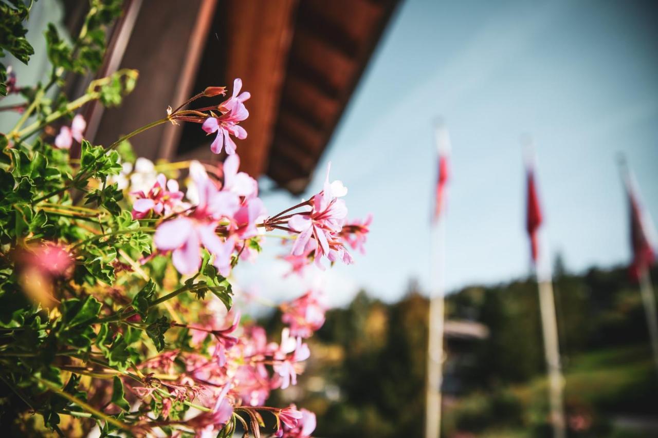 Hotel Restaurant Buerchnerhof Bürchen Eksteriør bilde