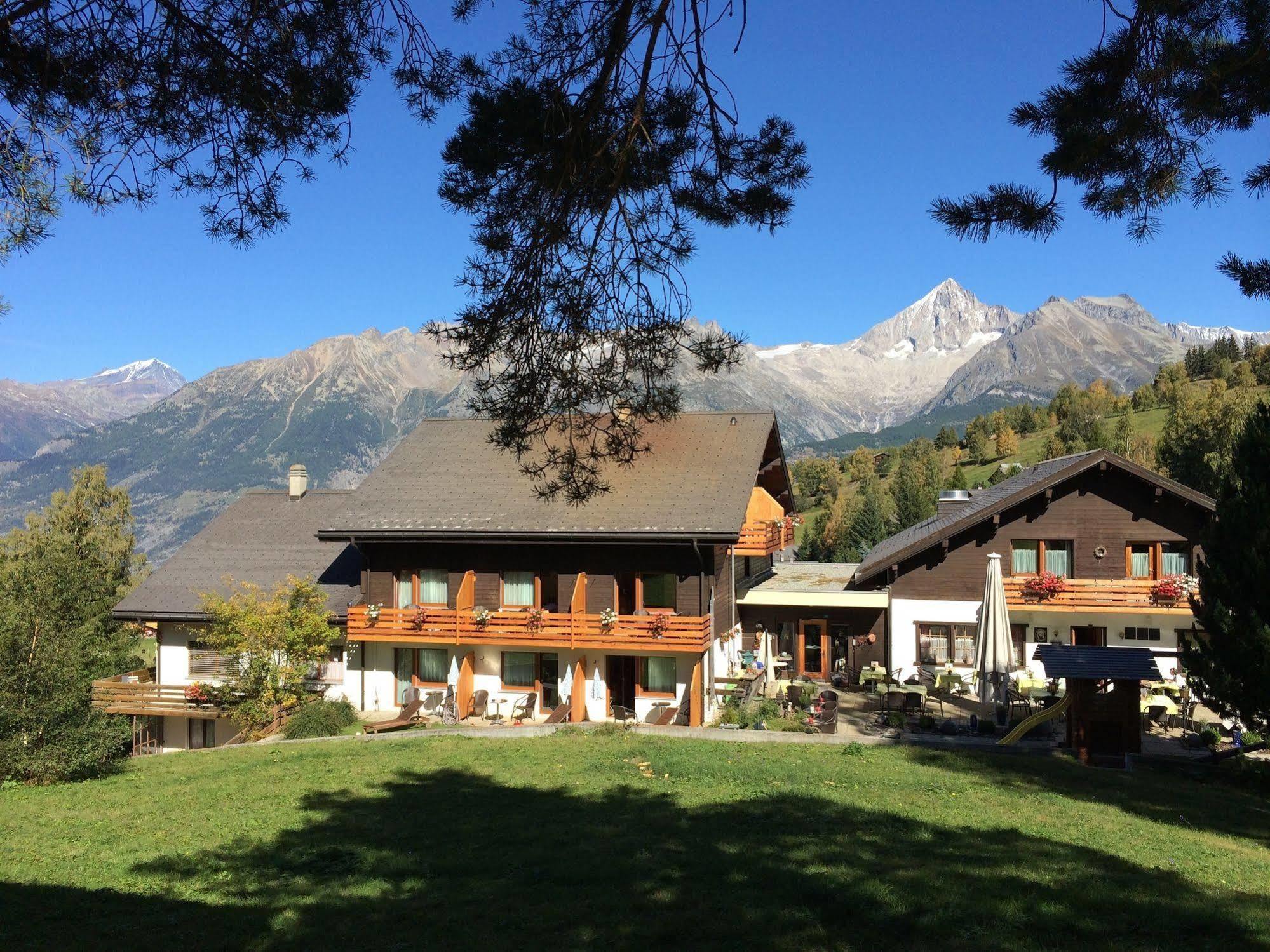 Hotel Restaurant Buerchnerhof Bürchen Eksteriør bilde